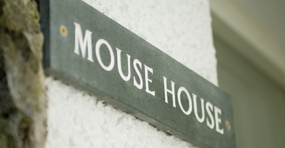 mouse-house
